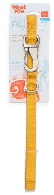 Best Dog Leash and Dog Leash Types Hemp dog leash dogspeaking.com