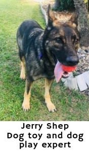 Jerry Shep dog toy and dog play expert dogspeaking.com