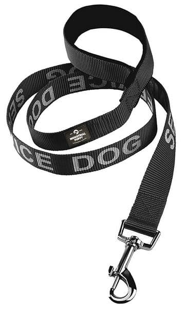 dog leash 2 service dog leash with neoprene handle dogspeaking.com