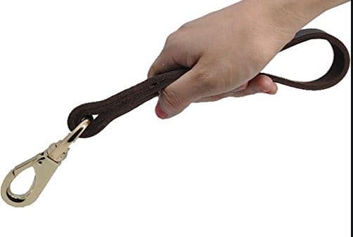 Best dog leash - short dog leash - dogspeaking.com