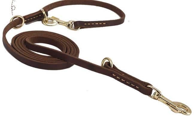Leather adjustable leash Dogspeaking.com
