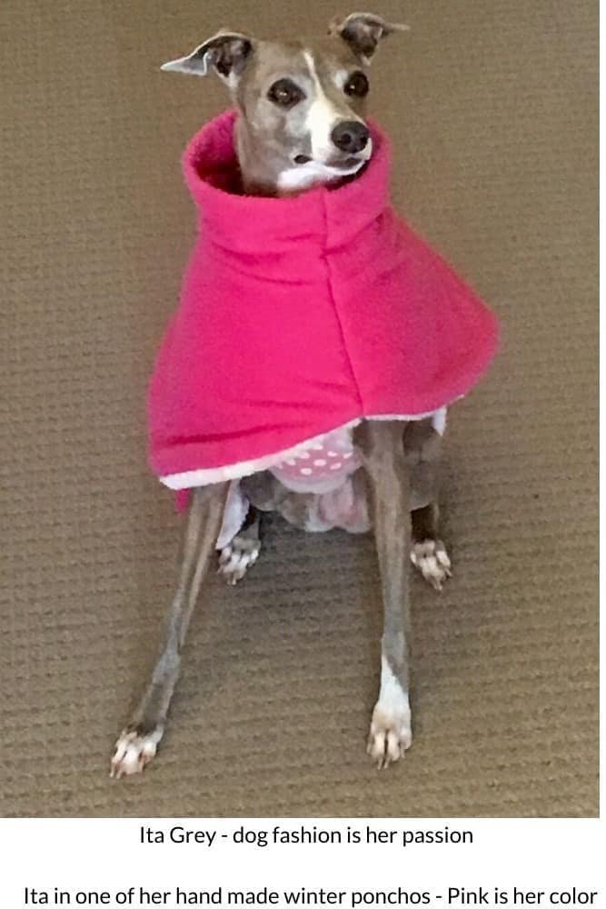 Ita Grey fashion editor for www.dogspeaking.com dog coats