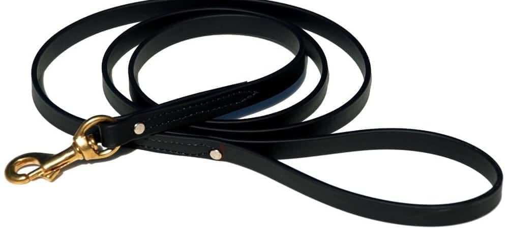 Best Dog Leash and Dog Leash Types, Biothane dog leash dogspeaking.com