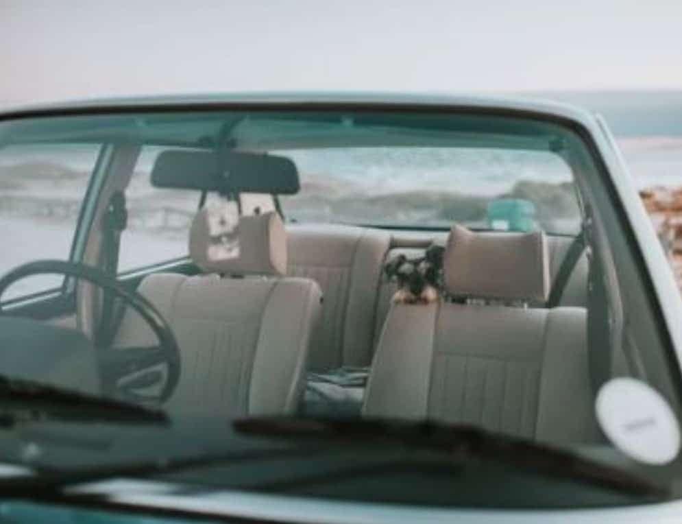 dogs driving and dog car travel - never leave a dog in a car unattended dogspeaking.com